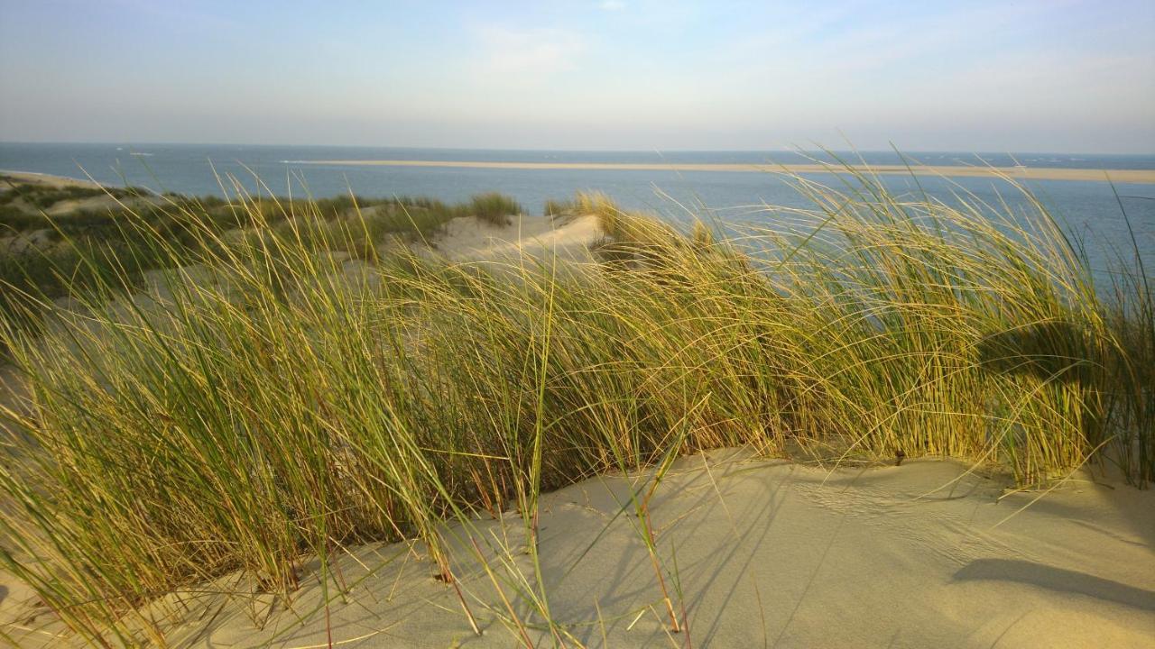 Cottage La Dune Avec Piscine Les Cigales Du Bassin A Gujan-Mestras Kültér fotó
